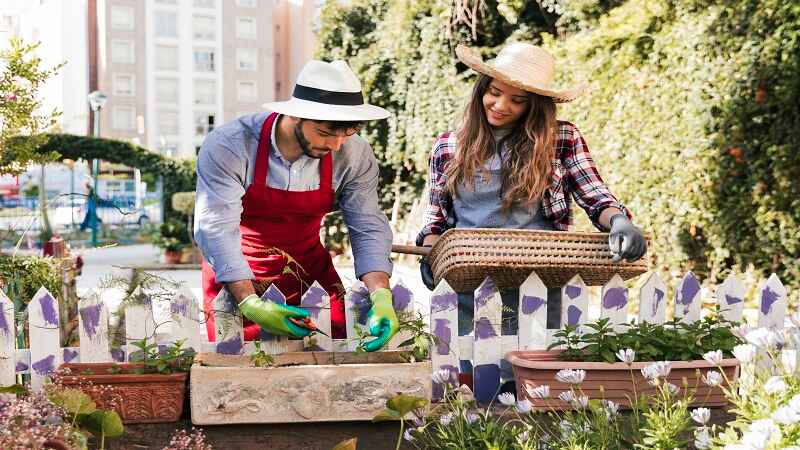 How to Build a Landscape That’s Both Practical and Beautiful